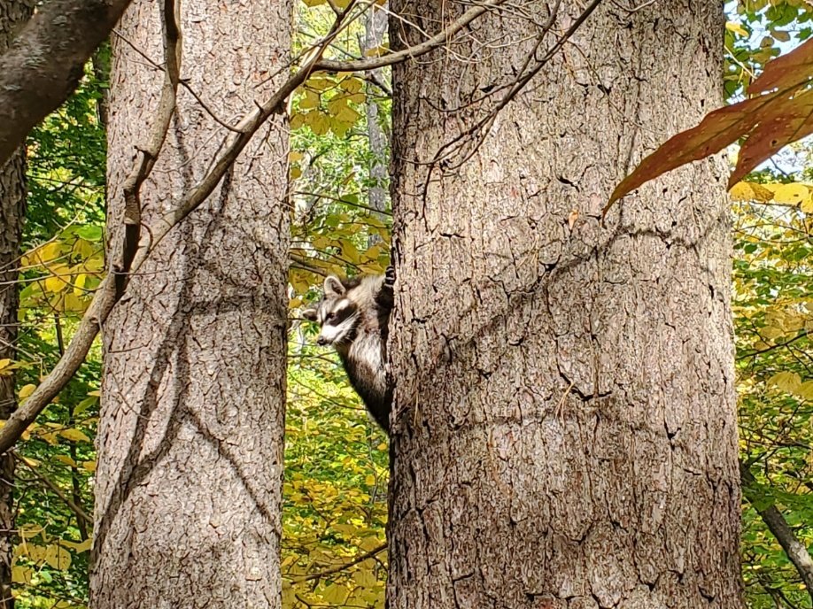 Pietro 💀 tweet media