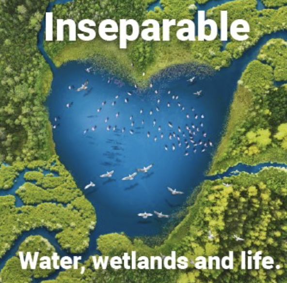 ProtectSudbury's tweet photo. There have been no wetland variances ever requested in Sudbury in the 40 plus years of wetland regulation in the state of Massachusetts. With wetlands protection more important than ever, we're fighting to make sure that @EversourceMA isn't the exception. https://t.co/YnoLHTzuMD
