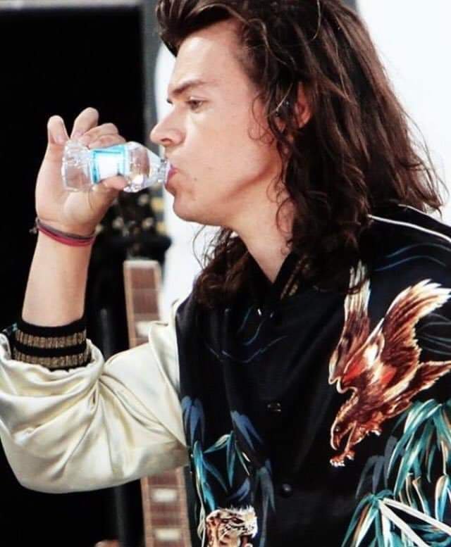 Harry Styles and Louis Tomlinson pics that belong next to each other.~a long but necessary thread~