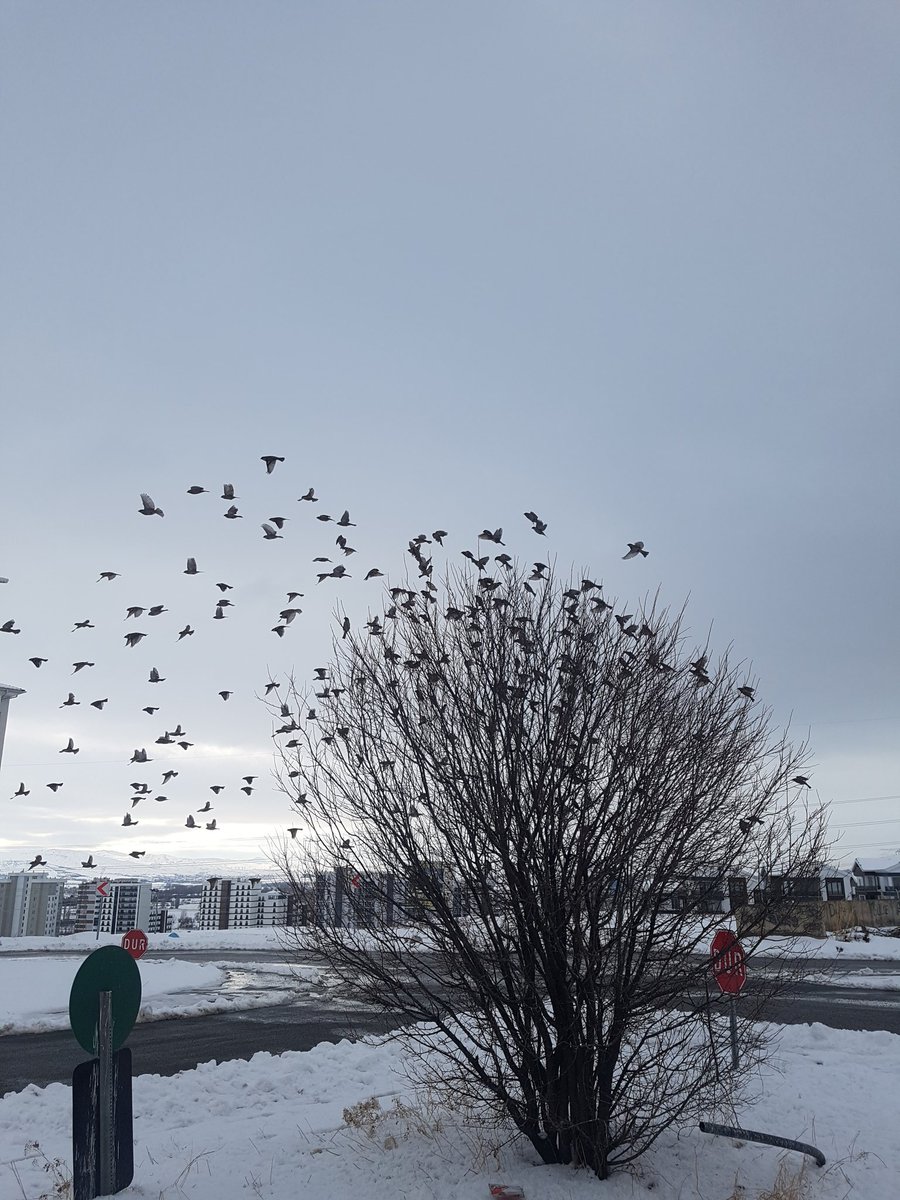 Her gün bittiğinde unut gitsin. Elinden geleni yaptın. Ders çıkar. Yarın yeni bir gün. 
Ralph Waldo Emerson