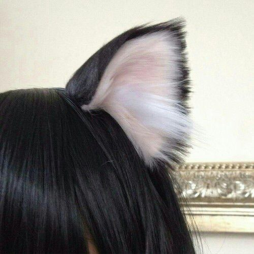 lixthings's tweet image. put  the  cat  ears  on  !!