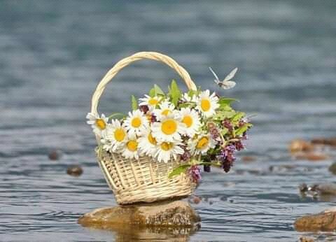 <a href="/IzanCal/">İzan Çalışkan</a> Good morning dear Izan , wishing you happy new day from February , many blessings , with my best wishes .