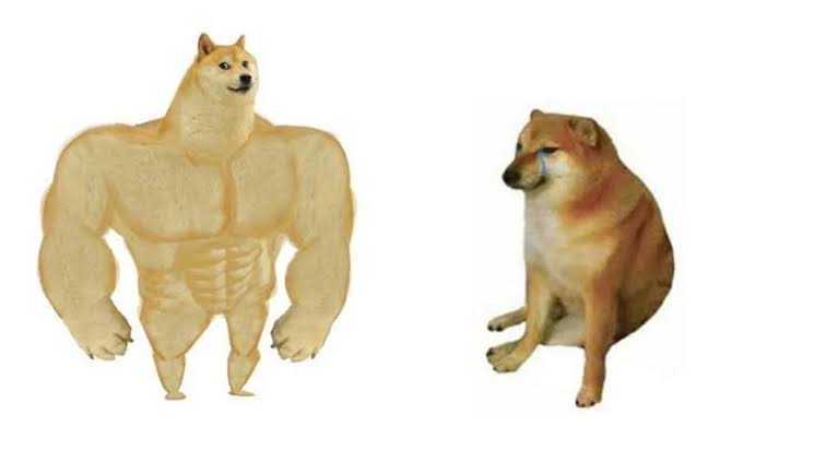 CarlosPR91's tweet image. Carmelita en duelos de eliminación / Carmelita en los demás circuitos.

#EliminaciónInminente