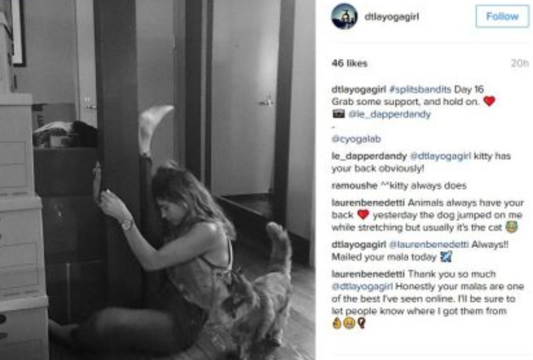 You get married and support all these adults:Amber Heard Whitney HeardiO Tillet Wright Joshua DrewRaquel PenningtonWho all lived rent-free for years in Depp's penthouses. IO Has book deals. Josh Drew opened Restaurants. Rocky Pennington (Yoga And Crafts!)  https://twitter.com/Harleycosplay1/status/1355920874927493128