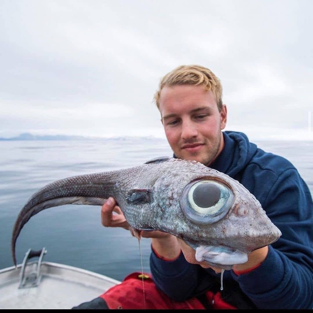 😳😳

#wilflife #photography #photographylovers #PhotoOfTheDay #fish