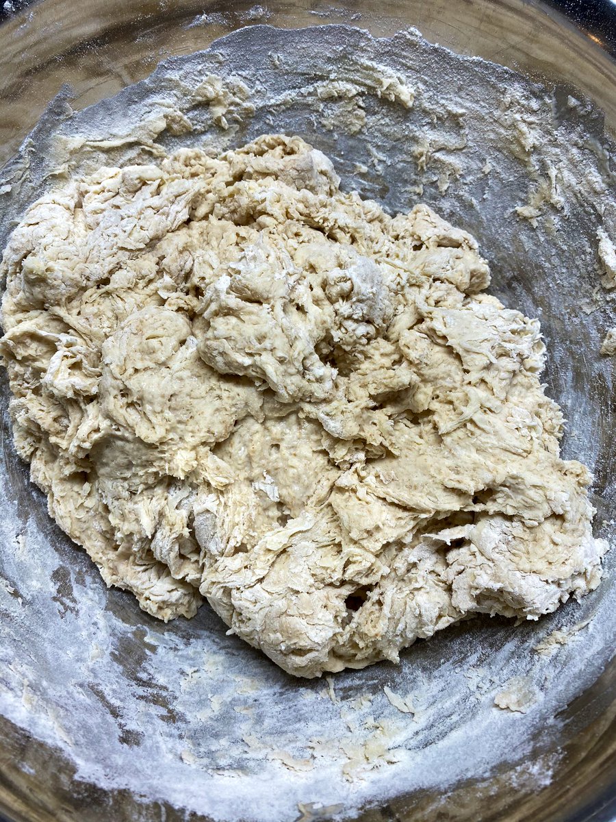 Mix well, with a wooden spoon or dough whisk if you’re a fancy dandy person. Let it rest for 20-25m. Get outside and stretch your legs. Oh, and measure 20g sea salt and 10g baker’s yeast. Mine’s from Montreal which I irrationally feel is a compromise between Paris and Pasadena.