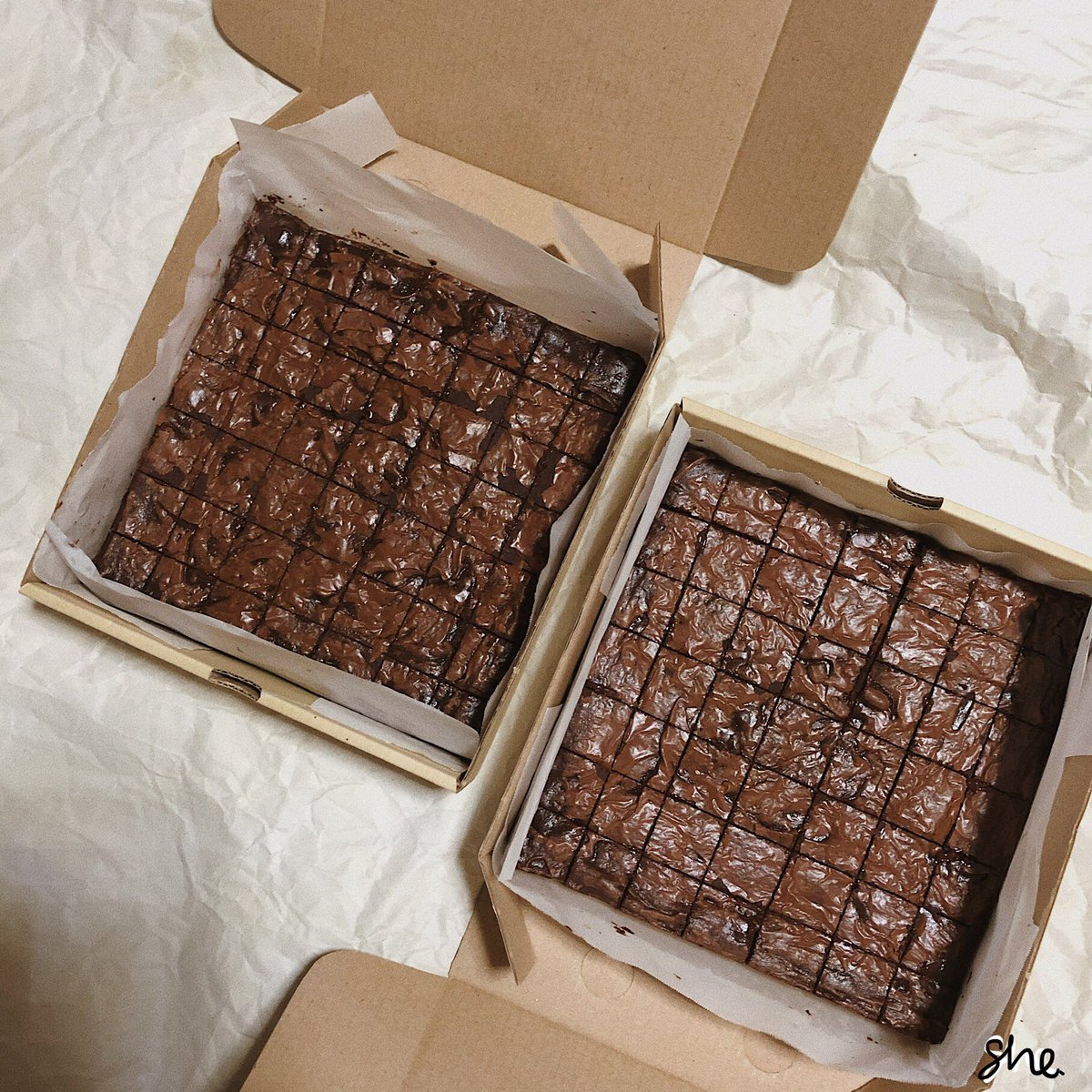 sheisbrownie's tweet image. ชีมาแจกครั้งใหญ่ ผู้โชคดีรับไปทานฟินๆ
:ฟัดจ์คิ้วท์คิ้วบ์บราวนี่ 1 ปอนด์ ‼️มูลค่า 250 บาท‼️
บราวนี่สุดเข้มข้น เนยแท้ ดาร์กชอกแท้

กติกา รี+ฟอล รอลุ้นเลย

ประกาศผลเมื่อยอดฟอลครบ 2021 (ค.ศ.นี้อิอิ)
📌รูปสุดท้ายแปะเมนูร้านไว้นิดนึงนะคะ
#บราวนี่ #ตลาดนัดบราวนี่ #แจกฟรีแค่รีฟอล #แจกฟรี