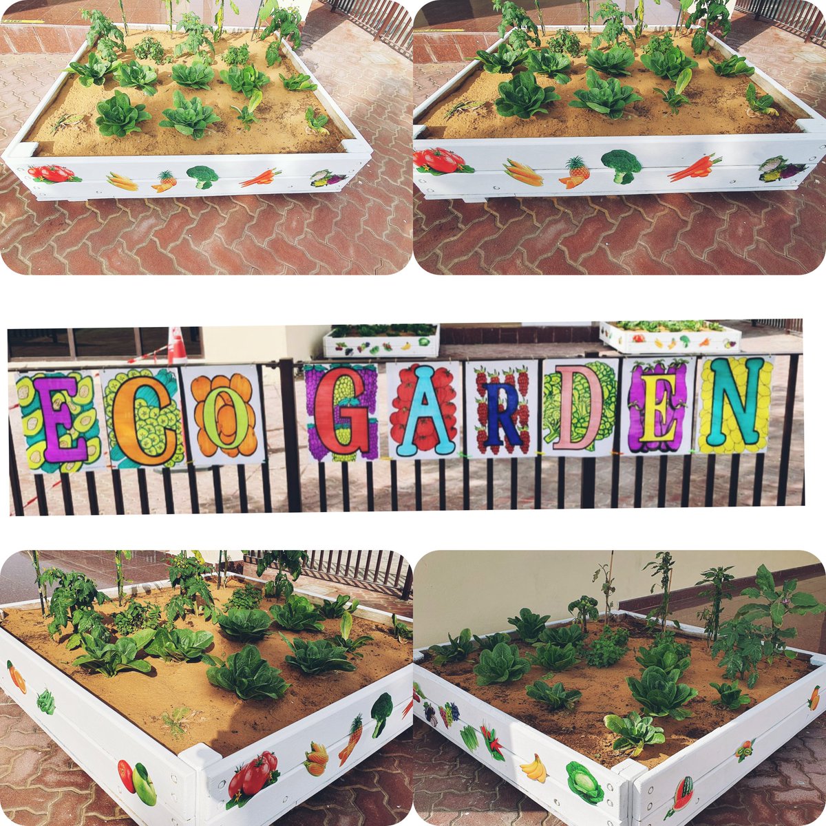 DISAbuDhabi's tweet photo. Seeing things growing and developed is what are we all about at Diyafah International School which is evident in our DIS ECO Garden.#ecogarden #ecofriendly #SharingEducation #letyourlightshine✨ https://t.co/19a1T6cxCl