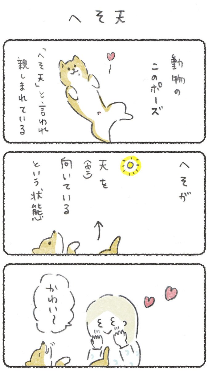 へそどこ???な話(1/2)
#豆しばこつぶ 