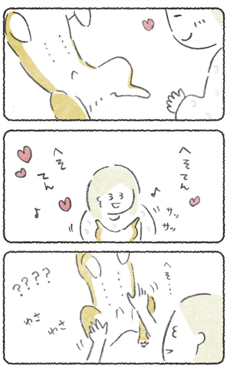 へそどこ???な話(1/2)
#豆しばこつぶ 