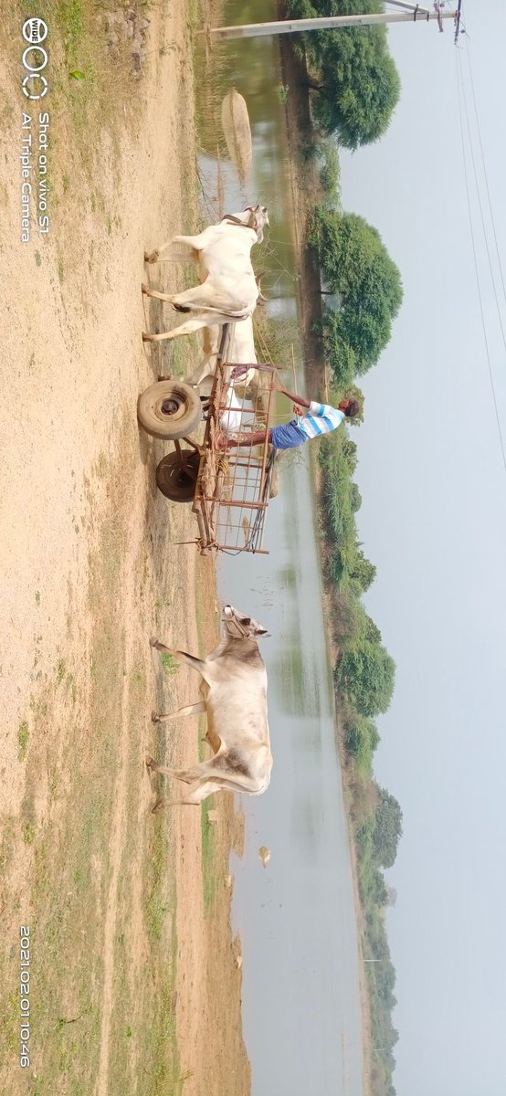 Irshaad_0707's tweet photo. #Farmers
#Naturalclick
@WarangalUrban
@HiWarangal
@MC_GWMC
@HamaraWarangal
@showarangaltrf
@smartwarangal
@WglSafety
@Warangal https://t.co/HeKQq3W7V7