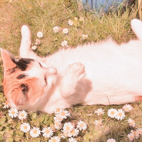 lixthings's tweet image. 