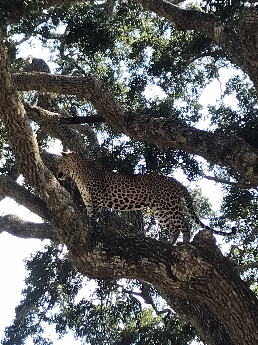 Hours later I can still feel the adrenaline. This wild. Unforgettable.