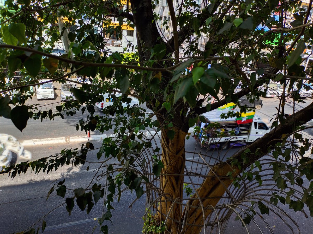 Three cars with Myanmar just drive past blasting patriotic music. The back of the truck was loaded with men carrying swords.