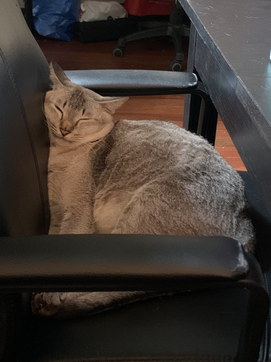 Sing Lit Station tweet media