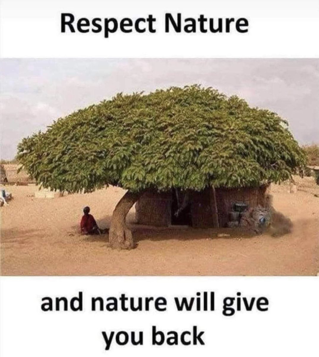 ppandeyenv's tweet photo. Respect Nature.. and Nature will always give it back in multiples!
#IloveNature #forestsforalltogether #GREEN #ClimateAction #ClimatePledge #treeplantation #naturelovers https://t.co/0XUCnWDuQD