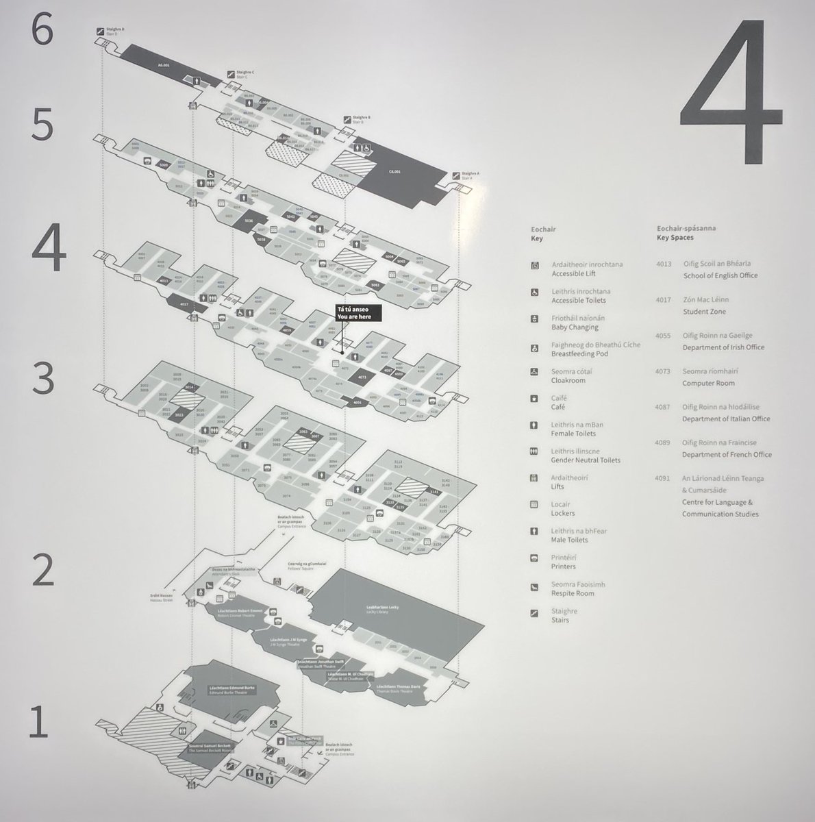 Patrick Prendergast tweet media