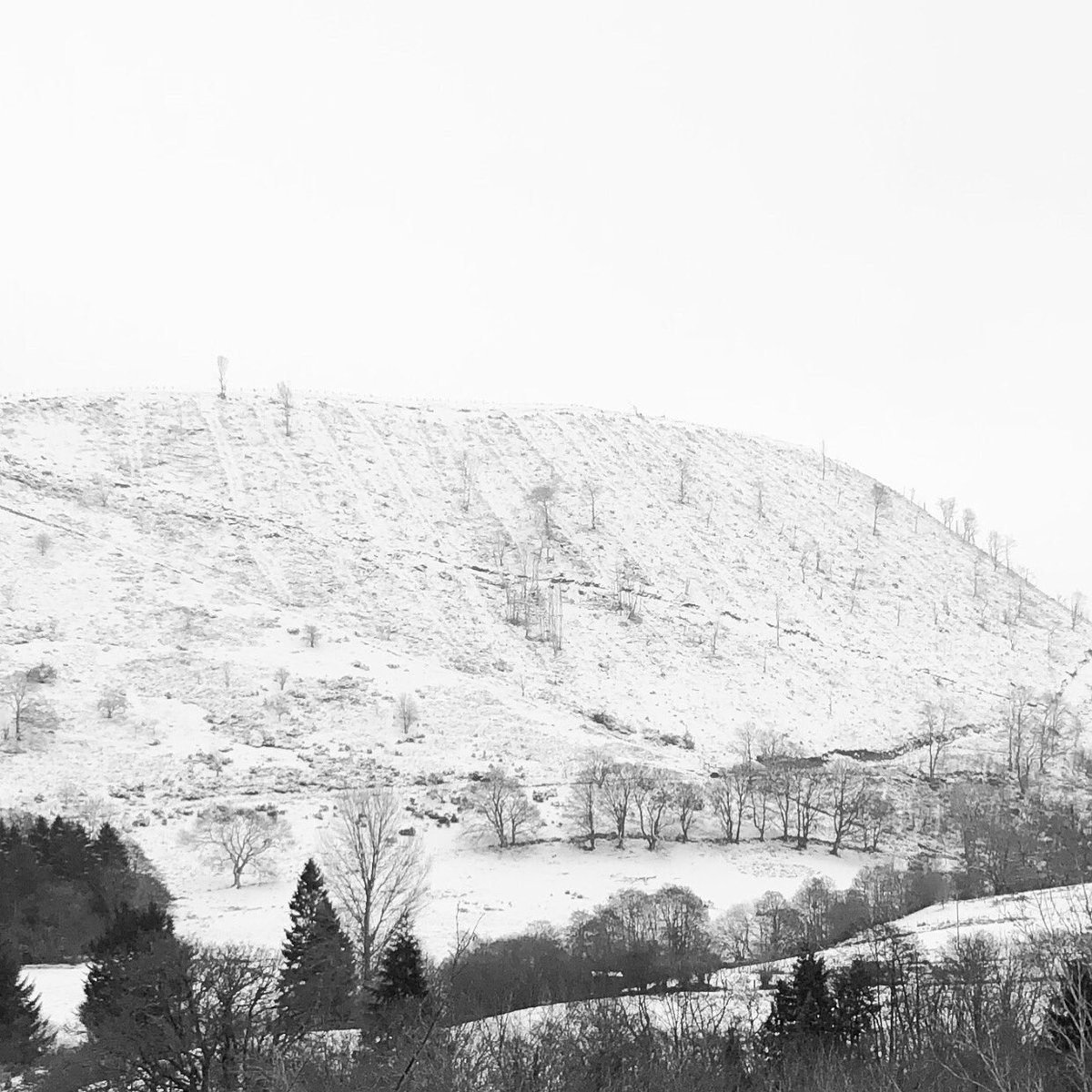CHEF_MULHOLLAND's tweet photo. Ceiriog valley this morning ! @Ruth_ITV @DerekTheWeather @wrexham @ThisIsWrexham @awaywithmedia @thehandhotel @greatorex https://t.co/Tu3vAfm1Hu