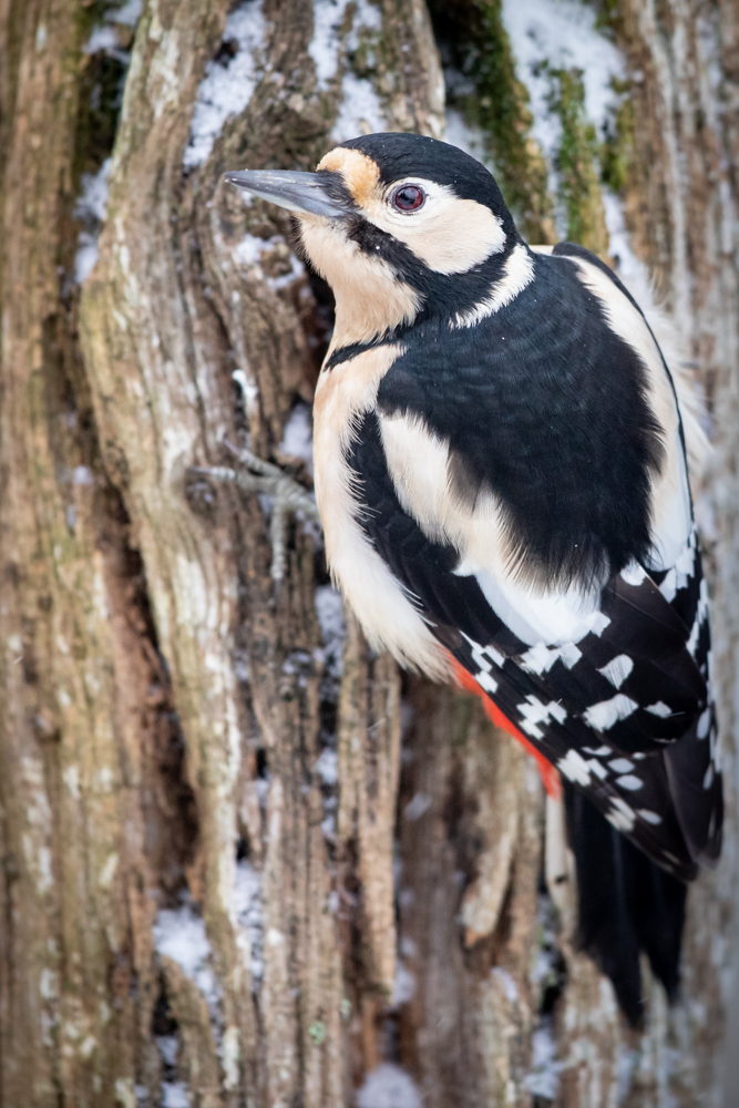 `<a href="/theelanvalley/">The Elan Valley</a>
