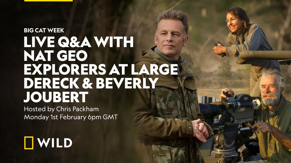 ChrisGPackham's tweet photo. Join me for a FB live chat TODAY at 6pm with NationalGeographic Explorers and wildlife film-makers @dereckjoubert and @beverlyjoubertphotography to discuss their latest documentary Jade Eyed Leopard on @NatGeoUK during #BigCatWeek . Click here for more : https://t.co/cMZHwm3BqT https://t.co/Dwmirnsver