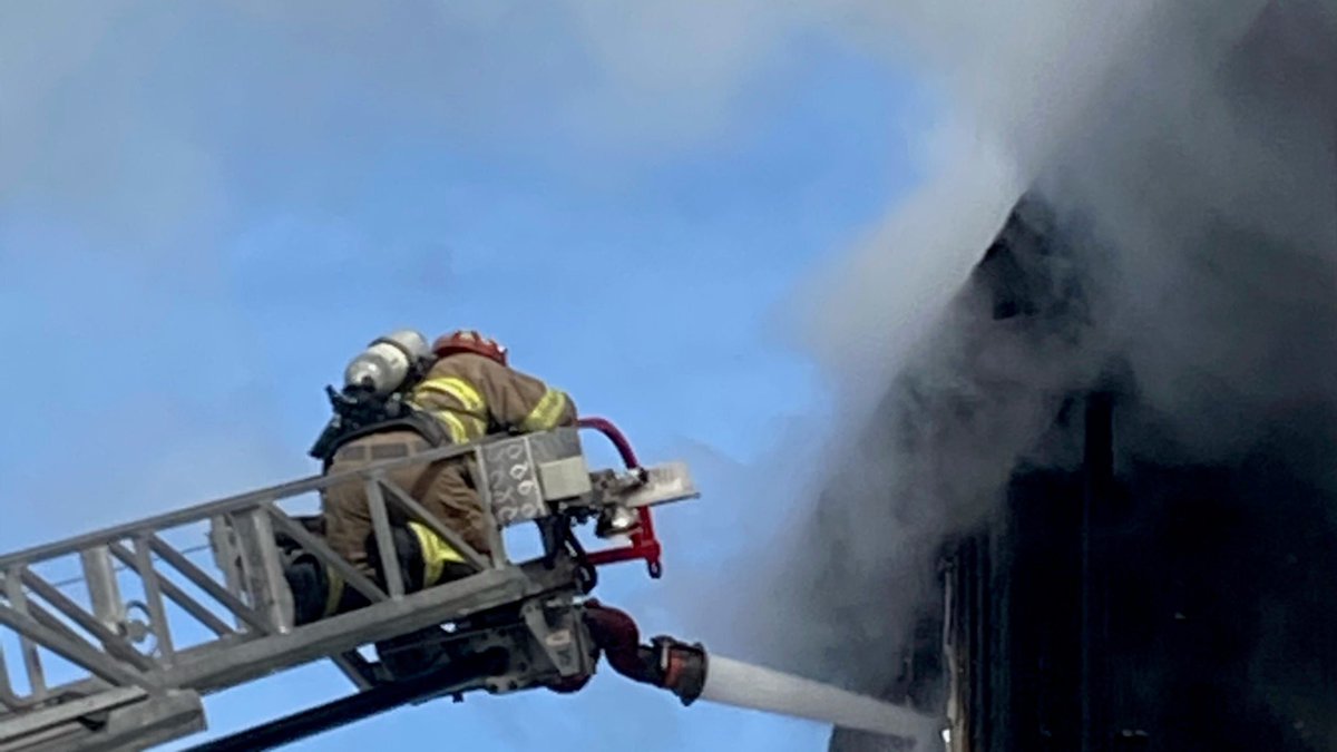 telegramdotcom tweet media