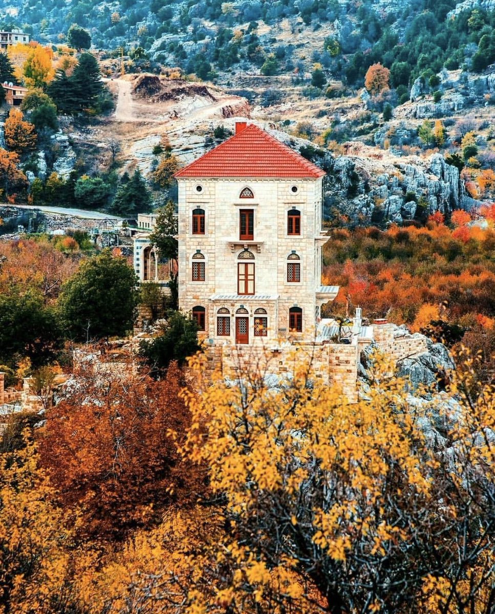 beautyoflebanon's tweet photo. Different seasons in Tannourine, Lebanon https://t.co/CWsWqY0iM8