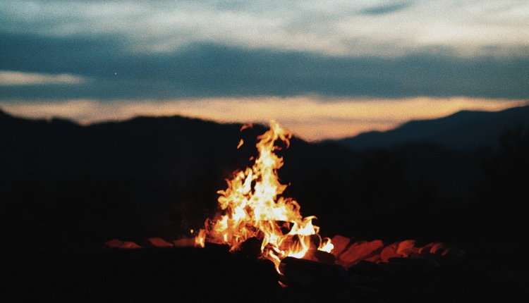 ThisHeadStuff's tweet photo. It is the first of February, the beginning of spring, Imbolc. It is also known as the festival of Brigid, goddess of poetry and healing, and so to celebrate the day we want to share some of the most exciting women writers in Ireland today.

https://t.co/jfobdXIcCp https://t.co/tdhGCVCAcJ