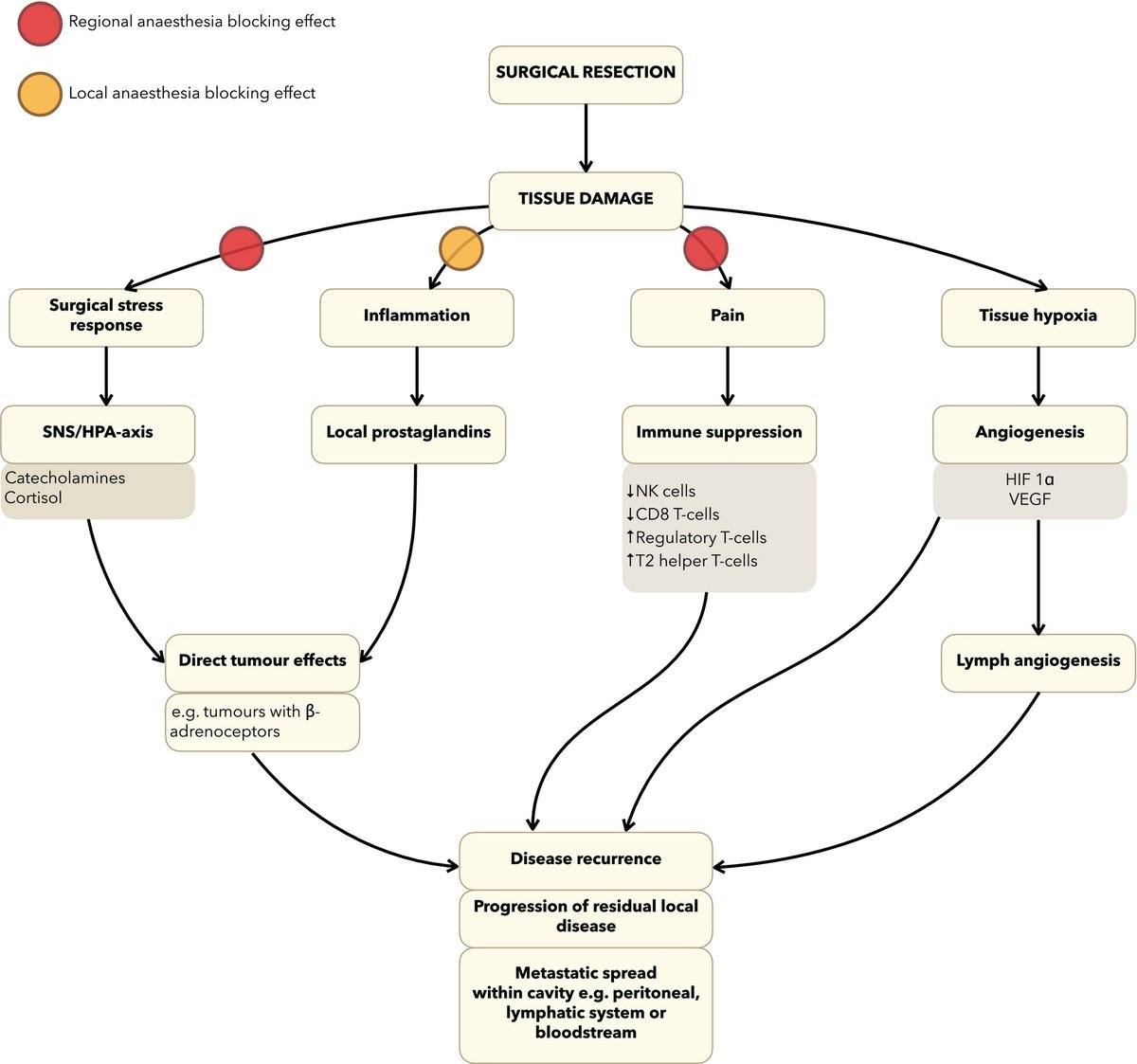 🔐Onco‐anaesthesia is the study and practice of the peri‐operative management of cancer patients.

Regional anaesthesia is indicated based on patient characteristics and the specific surgical intervention, rather than to prevent cancer recurrence.

🔗…-publications.onlinelibrary.wiley.com/doi/10.1111/an…