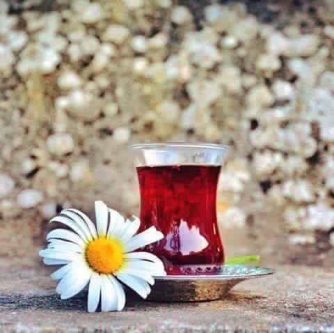 <a href="/IzanCal/">İzan Çalışkan</a> Huzur dolu güzel bir güne Günaydın
Güzel insan 🍀☘️🌺