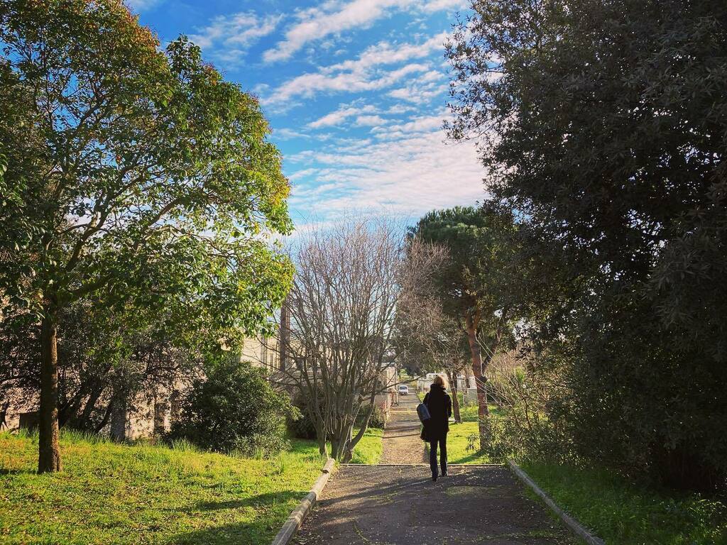 unitorvergata's tweet photo. Buongiorno da #ScienzeTorVergata
• • •
#unitorvergata #torvergata #torvergatauniversity #sogene #unilife #campuslife #studyitaly https://t.co/1ZrlFKdifB