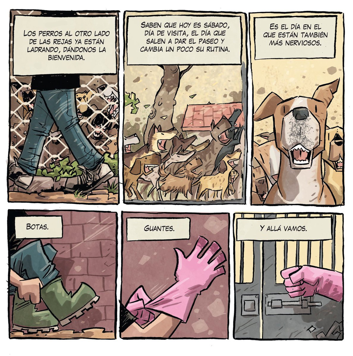 JoseFonollosa's tweet photo. #Refugio es el comic donde he contado el dia a dia de una protectora de animales como la que soy voluntario desde hace algo mas de dos años. Ha empezado su preventa durante febrero, puedes leer las primeras pags en https://t.co/KKNz62ZBQr 
Gracias por el RT https://t.co/OZ5Brk5Egx
