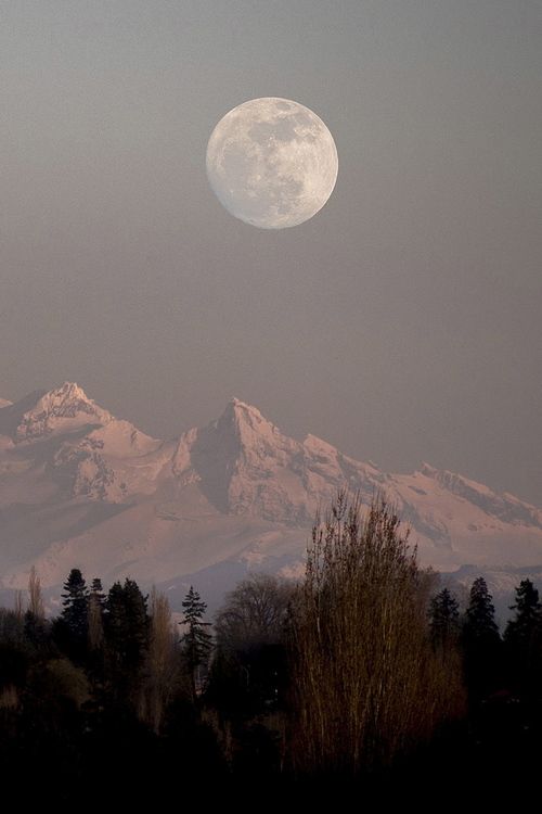 PhotoGraphy_AAJ's tweet photo. Happiness can be found even in the darkest of times, if one only remembers to turn on the light.
@PhotoGraphy_AAJ
#life #TwitterNatureCommunity #quotes #friendship #funniesttweets #moon
#PhotoGraphy_AAJ https://t.co/cTn2eRRdZE
