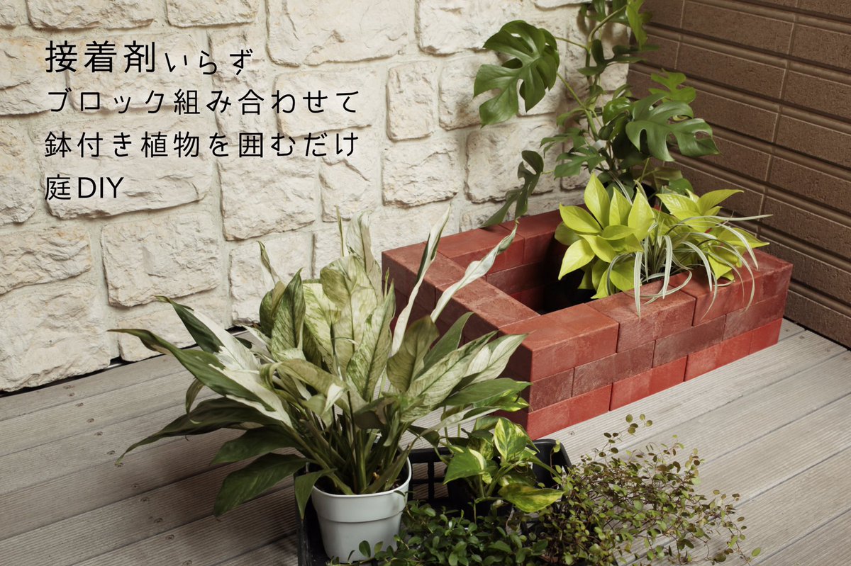 YPC_Renblock's tweet photo. #レンブロック #renblock #ガーデニング #ガーデニング初心者 #ガーデニング雑貨 #ガーデニングdiy #ガーデニングライフ #ガーデニング好きな人と繋がりたい #ガーデニング大好き #ガーデニング部 #ガーデニングショップ #ガーデニング女子 https://t.co/KbYX5ZPrY5