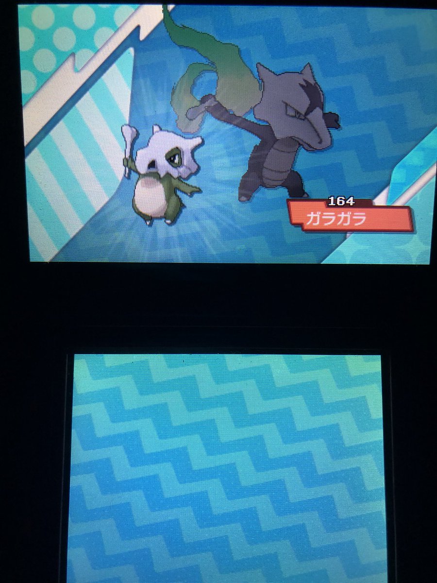 ブルーノ V Twitter カイオーガがレジエレキに2戦連続でボコられたからアローラガラガラを捕まえねばと思ったけど色違い 縛りだからどうしよってなってgoでも持ってなかったから仕方なくひかおま無しでサンムーンの仲間呼びやったら56回目で出てきてくれた