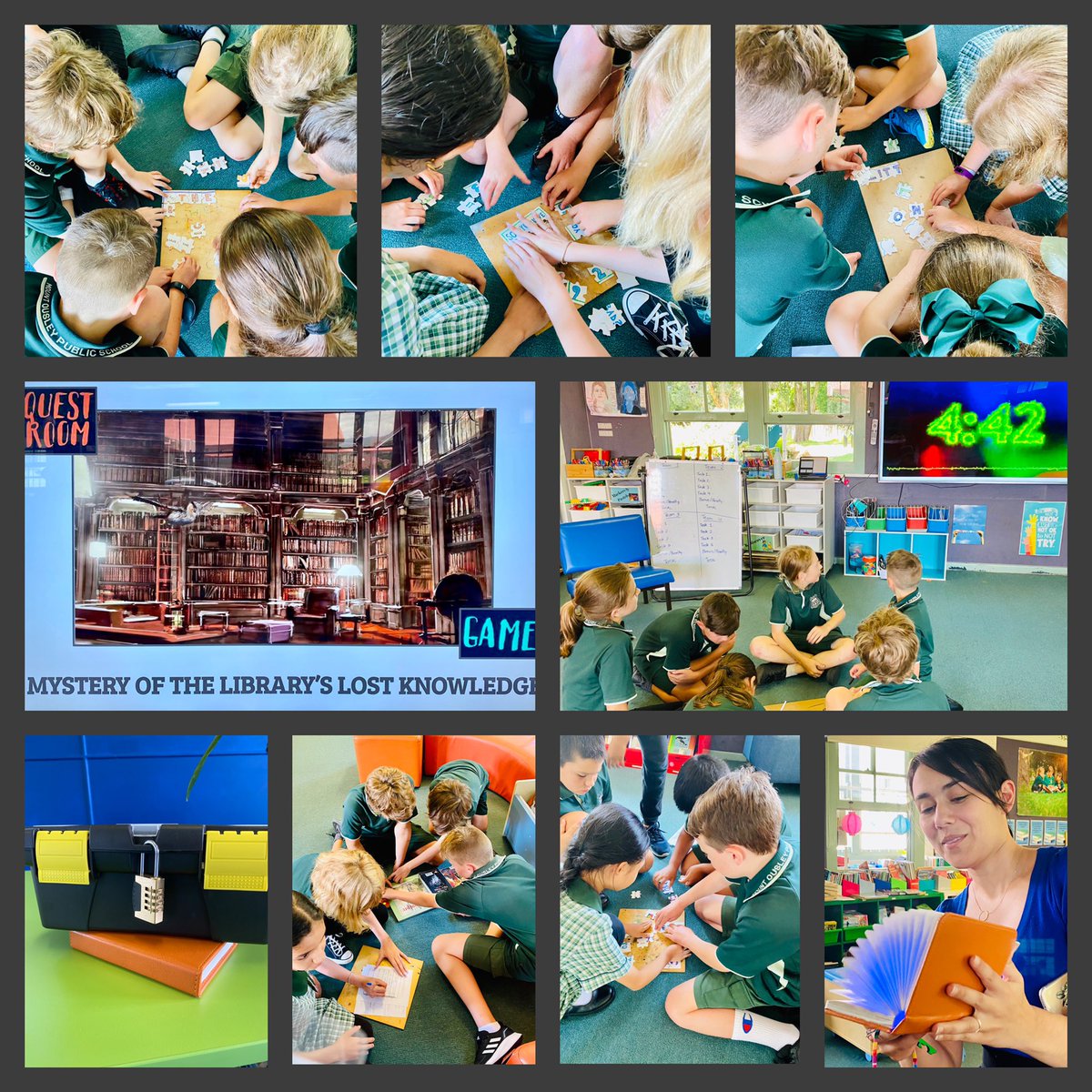 Susie Hamers tweet media