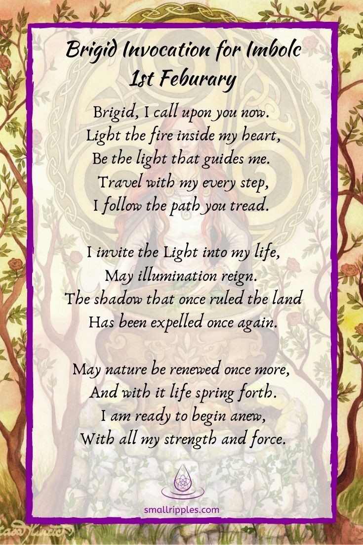 ⚘The⚘Trying⚘Gardener⚘ (@gardenertrying) on Twitter photo 