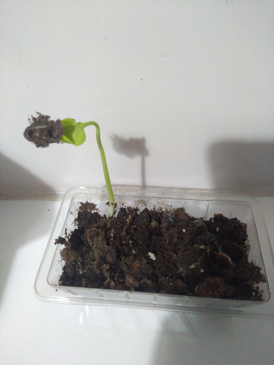 Herşeyerağmen...😁