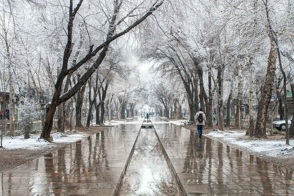 InstaEsfahan's tweet photo. ‌
یه چهارباغ برفی و‌ سفید پوش، بدون هیچ دغدغه و دلواپسی واسه امروز و فردامون به ما نیومده؟ 
-زمستان ۹۸ https://t.co/9cA6x6aj5h https://t.co/9D1ycPGg8g