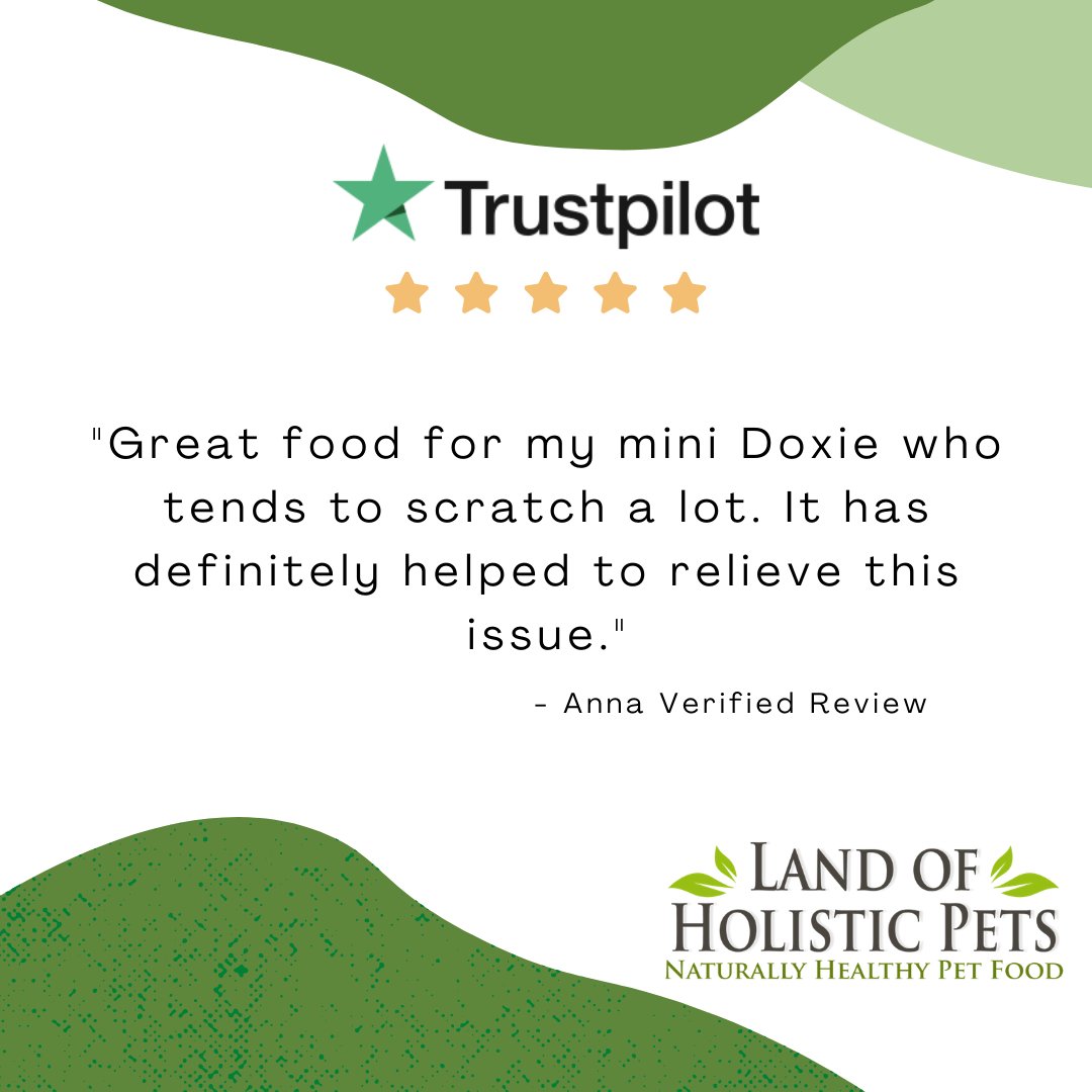 LoHolisticPets's tweet photo. "Great food for my mini Doxie who tends to scratch a lot. It has definitely helped to relieve this issue." Anna
Verified Customer Review
#TrustPilot #DogFood #DogFoodReview #DogNutrition #CanineNutrition #AnimalNutrition #Dogsofinsta #ukdogsofinsta https://t.co/hWSvvFoH0v