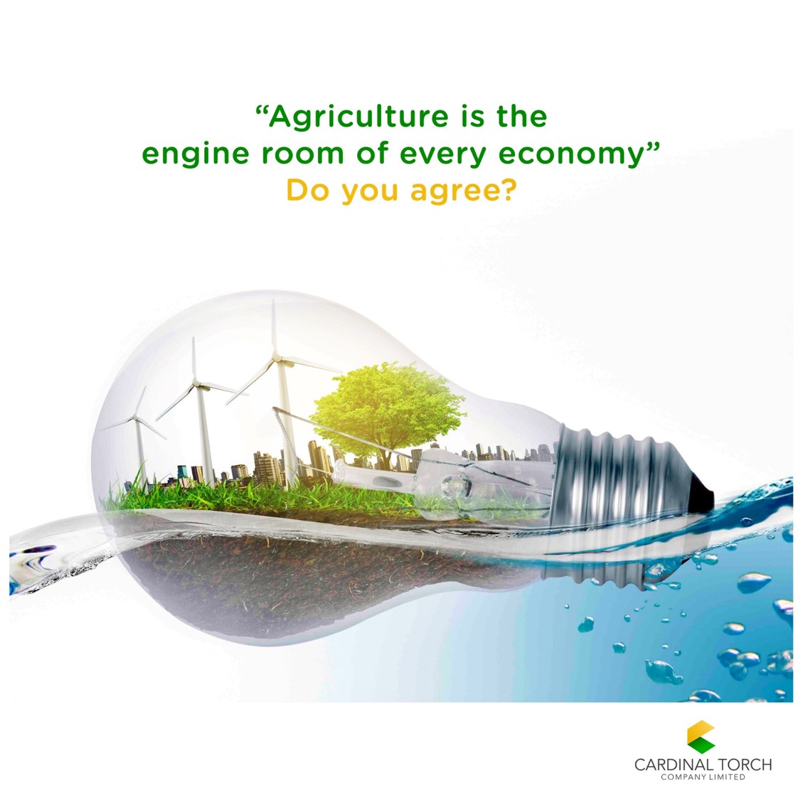 CardinalTorch's tweet photo. A nation that can’t farm can’t thrive said a wise man.  What are your thoughts? https://t.co/nVWhhzKwk0