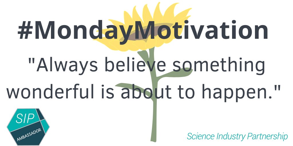 SIPambassadors's tweet photo. #MondayMotivation - In these times, it can be harder than ever to find the good and wonderful aspects of life. Try to focus on things that make you happy and always believe something wonderful is about to happen. 

#STEM #SIP #motivational #careers https://t.co/YCHuemOpD1