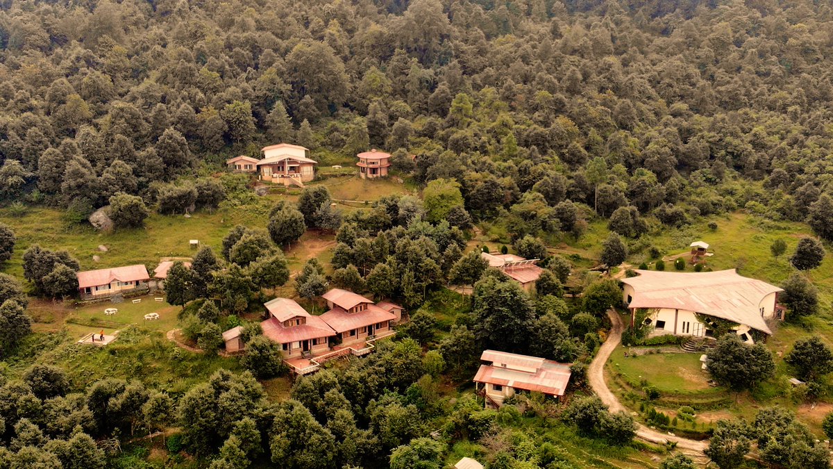 banjaracamps's tweet photo. One of the most offbeat locale in Kumaon Himalaya, close to Berinag and about an hours drive from Chaukori, set at an altitude of 2200 mts. amidst 1000 acres of dense and totally undisturbed forests, Misty Mountains epitomizes serenity and tranquility.

https://t.co/ADqseFbdam https://t.co/jztDCzrwgS
