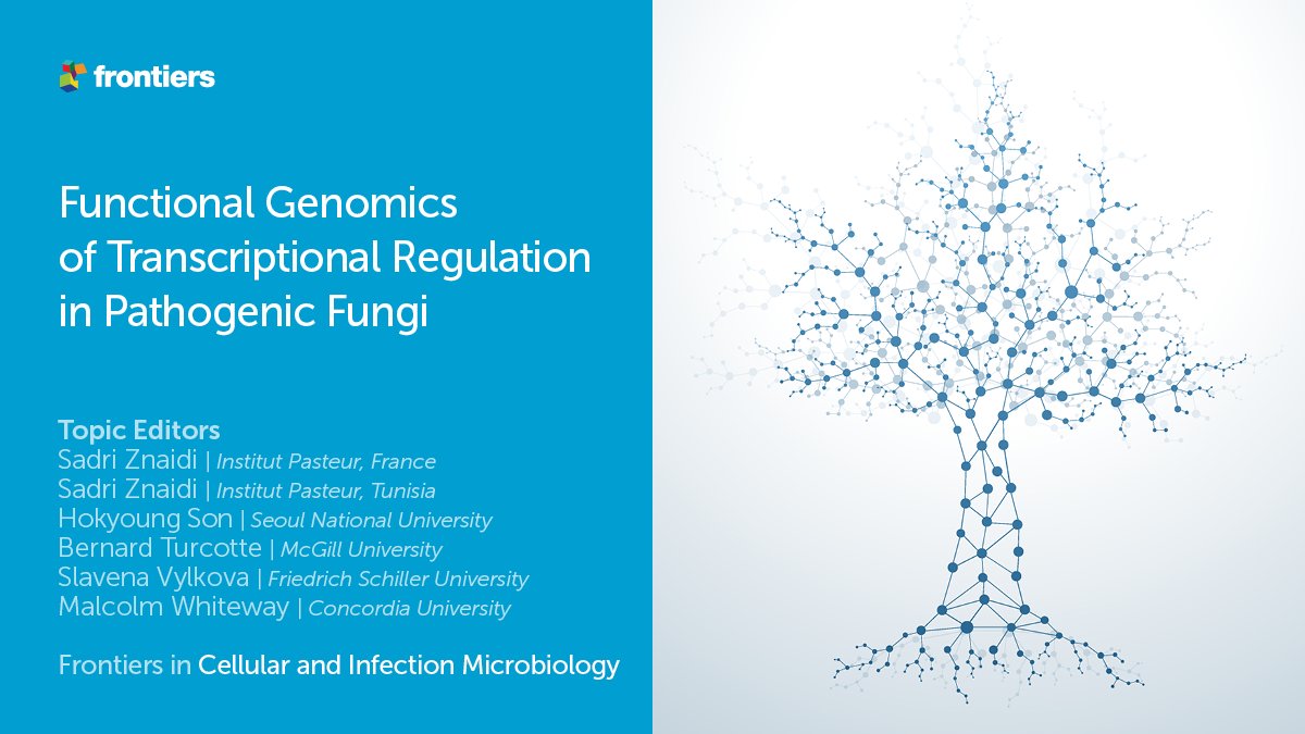 If Transcriptional Regulation in Pathogenic Fungi is your daily research quest 🍄🔬 check this out:  fro.ntiers.in/RT16034
📢Open for submissions!

@Znaidi_S 

#pathogenicfungi #trascriptomics #functionalgenomics