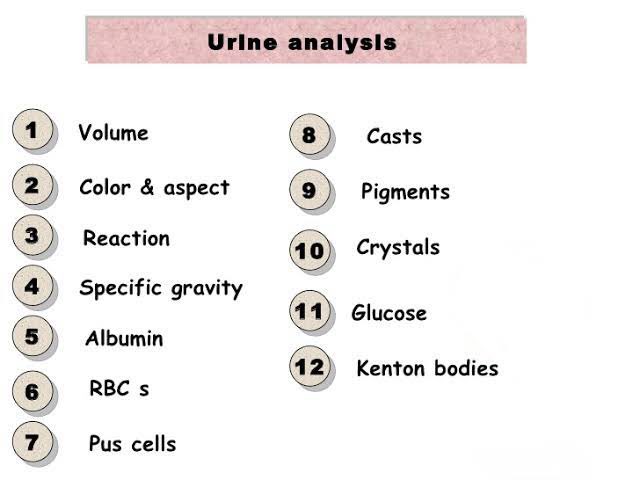 CyprusSusan's tweet photo. في #تحليل_البول
#Urine_Analysis
الـ Sugar سكر لما يظهر في البول معناه أنه عالي في الدم وهنا نعمل تحليل سكر في الدم ونضبط سكره. https://t.co/Xktf1HLIHf