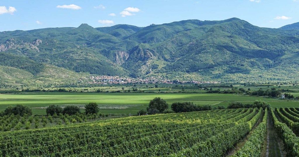 Join us (for free) for a Virtual Wine Tour of Bulgaria! Follow the link to sign up: buff.ly/3aq8Ukq <a href="/iwinetc/">IWINETC</a> @Winepleasures #Bulgaria #BulgarianWine #wine #wineregions #wineoclock #wineworld #winelover