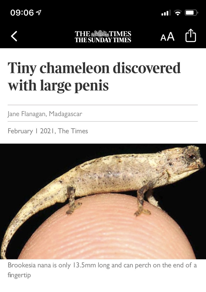 In other news: biologist fired for using his penis to search for tiny chameleons.