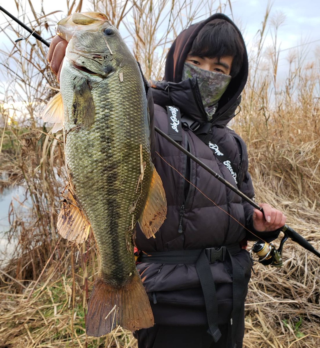 deps デプス ルードバイパー 72MHRF デプス サイドワインダー HGCS