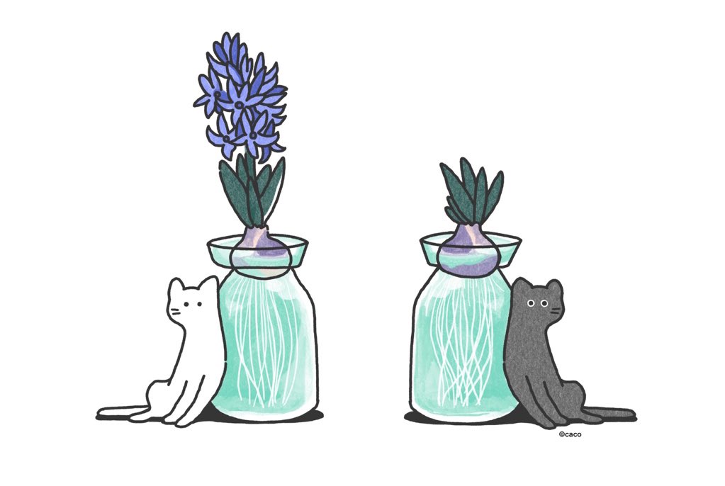 よりかかる猫 よりかかる猫