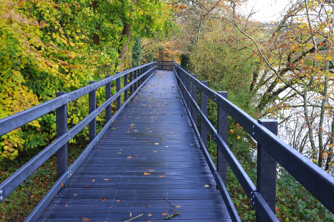 A new walk through the Silaire Woods in Graiguenamanagh, Co Kilkenny, includes this 400m boardwalk made from recycled plastic (a blend of household items like bottle caps and margarine tubs)...
independent.ie/life/travel/20… #WhenWeTravelAgain
#kilkenny