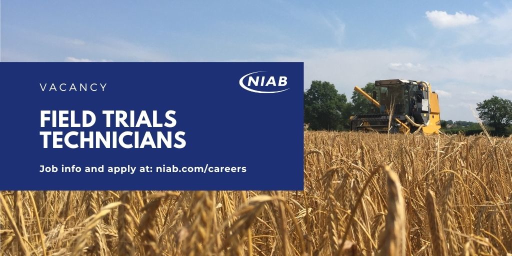 📣#VACANCY📣 Seasonal Field Trials Technicians
A great opportunity to gain experience in field crops/plot trials, we have several roles available, involving:
👉Sample collection
🌾measuring plant characteristics
👩‍🌾a range of other practical tasks.
Visit: ow.ly/9e6S50DnuNc